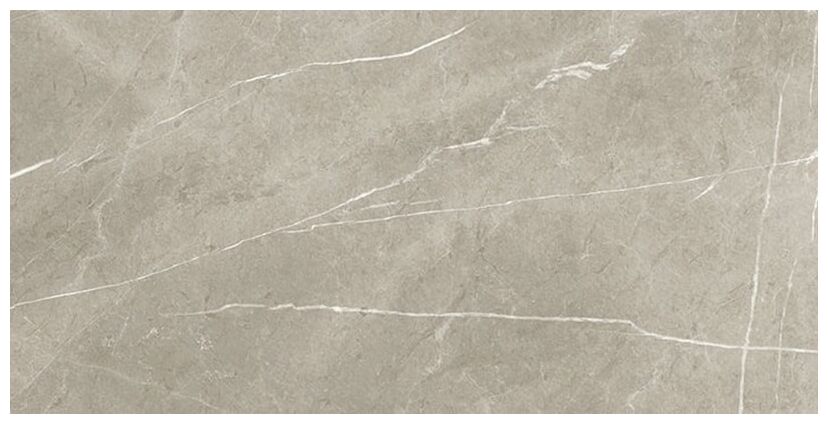 baldocer eternal taupe pulido gres rektyfikowany 60x120 - zdjęcie główne