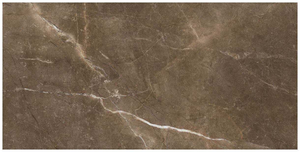 Gres Bayona Moka 60x120 z ciemnym wzorem kamienia i błyszczącą powierzchnią