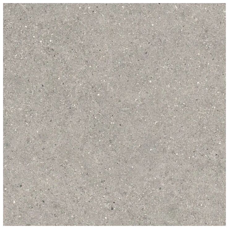 Matowy gres Brunswich Acero 80x80 o cementowej fakturze i chłodnym szarym odcieniu
