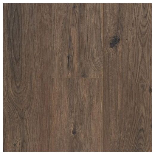 Ciemnobrązowe panele Gyant Dark Brown 62003071 z widocznymi słojami i czarnymi sękami