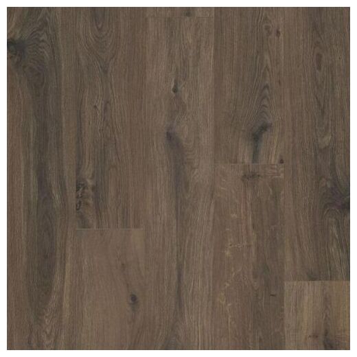 Ciemnobrązowe panele Gyant Dark Brown 62003071 z widocznymi słojami i czarnymi sękami - zdjęcie nr: 2