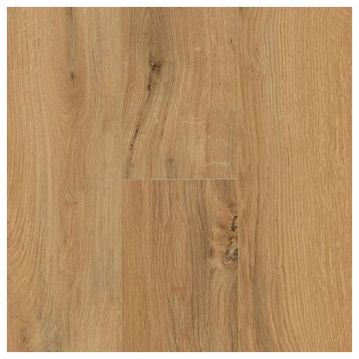 Panele Gyant Natural 62003076 w kolorze miodowego dębu z matowym wykończeniem i fazowaniem
