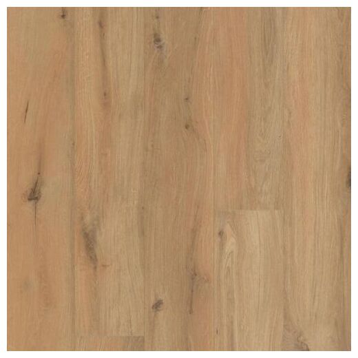 Panele laminowane Gyant XL Warm Natural 62002452 w kolorze ciepłego dębu z widocznymi słojami - zdjęcie nr: 2