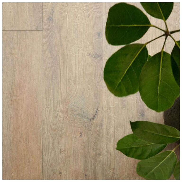 Panele laminowane Gyant XL Warm Natural 62002452 w kolorze ciepłego dębu z widocznymi słojami - zdjęcie nr: 5