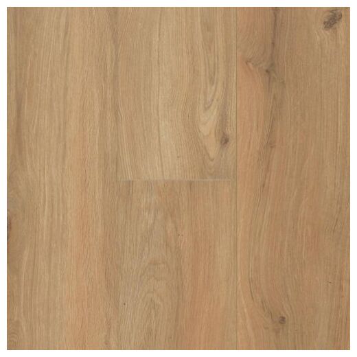 Panele laminowane Gyant XL Warm Natural 62002511 w odcieniu ciepłego miodowego dębu