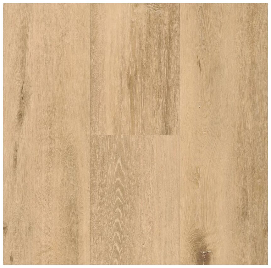 BerryAlloc Spirit Soul Click Comfort 55 Allegra 60002377 panel Podłoga Winylowa 152.4x22.8x0.6