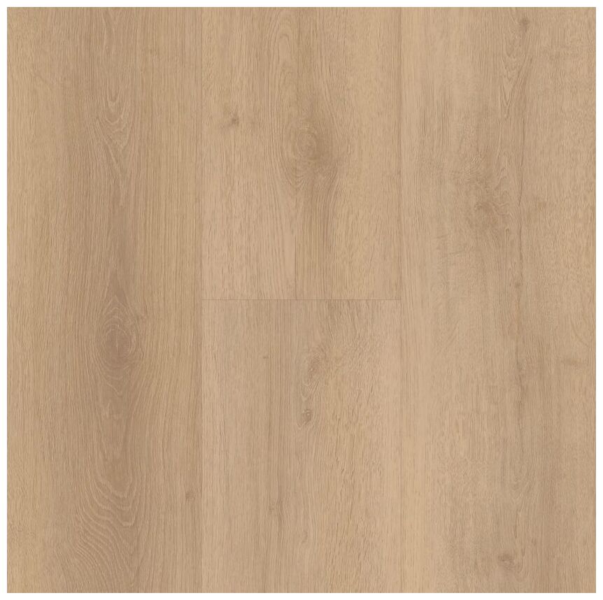 BerryAlloc Spirit Soul Click Comfort 55 Stella 60002374 panel Podłoga Winylowa 152.4x22.8x0.6