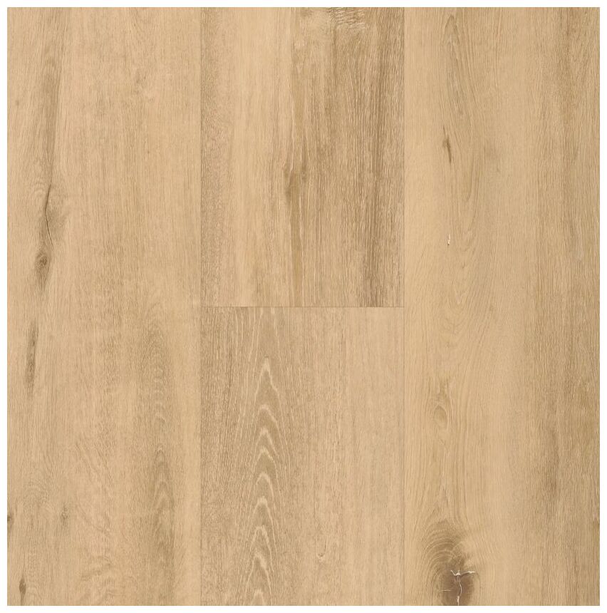 BerryAlloc Spirit Soul Gluedown 55 Allegra 60002395 panel Podłoga Winylowa 150x23x0.25