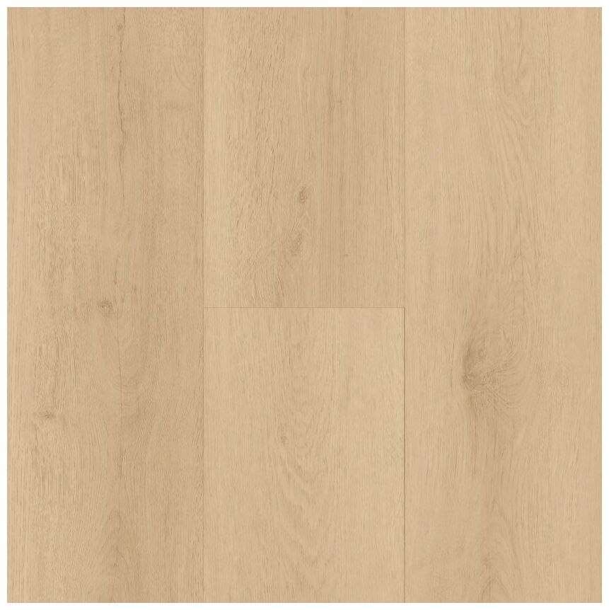 BerryAlloc Spirit Soul Gluedown 55 Flora 60002393 panel Podłoga Winylowa 150x23x0.25