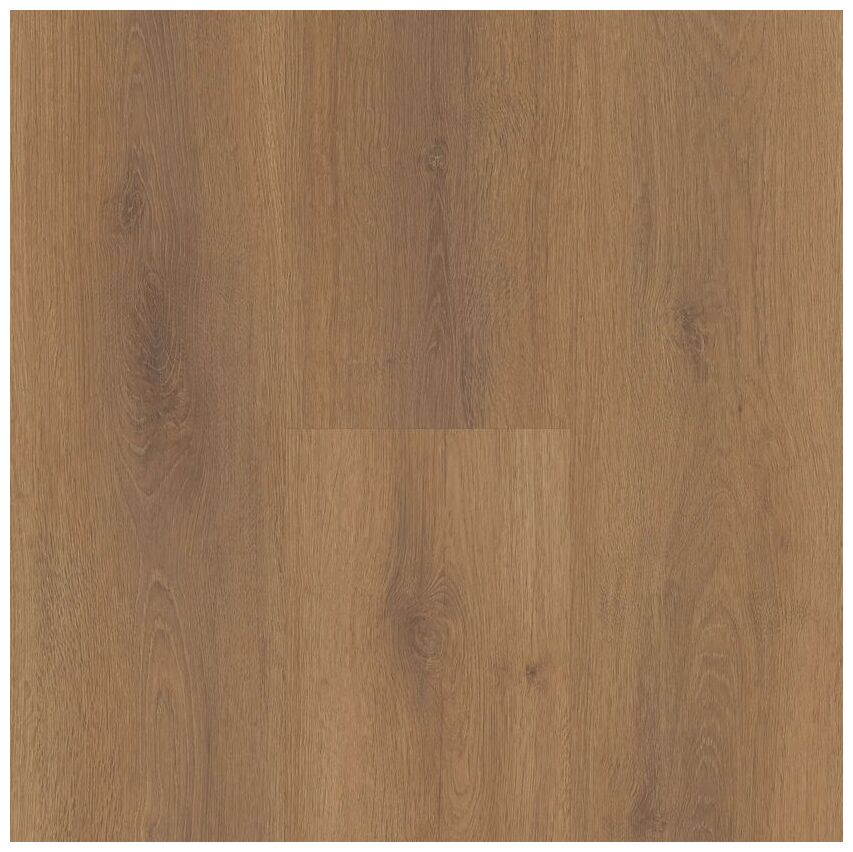 BerryAlloc Spirit Soul Gluedown 55 Terra 60002394 panel Podłoga Winylowa 150x23x0.25