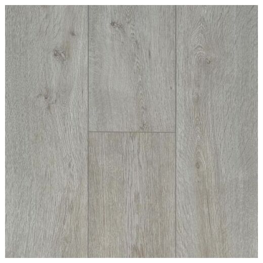 Szare panele laminowane Texas Grey 62003096 z wyraźnymi słojami i matowym wykończeniem