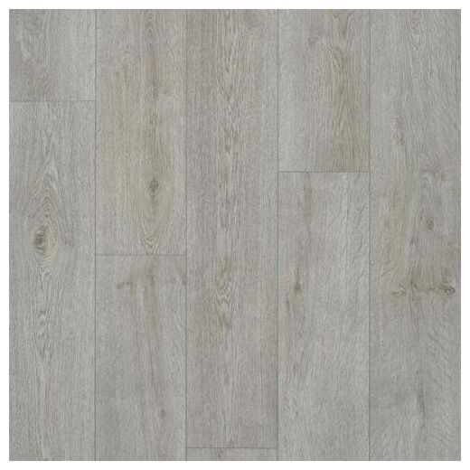 Szare panele laminowane Texas Grey 62003096 z wyraźnymi słojami i matowym wykończeniem - zdjęcie nr: 2
