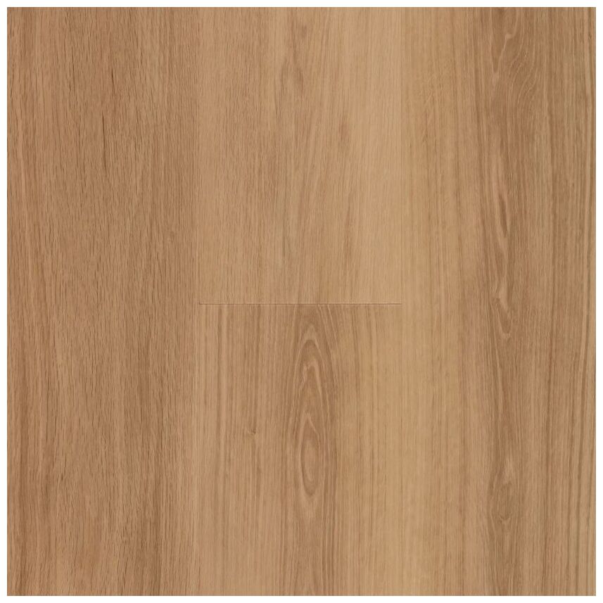 BerryAlloc Zenn Gluedown 30 Monsanto 60002218 panel Podłoga Winylowa 121.9x17.78x0.2