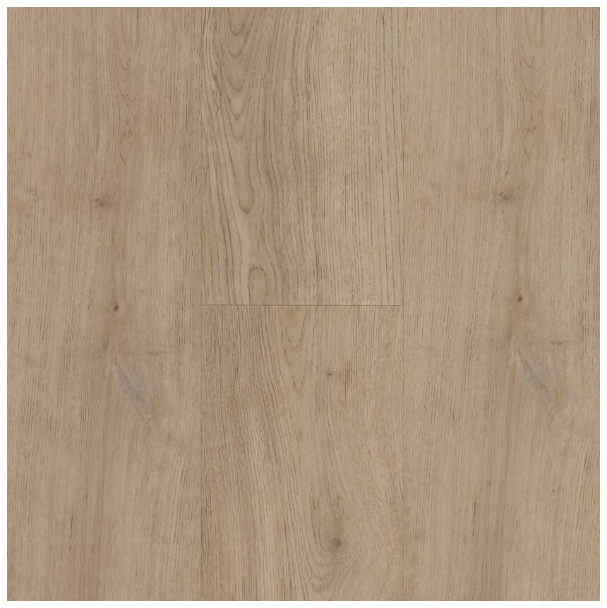 BerryAlloc Zenn Gluedown 55 Faro 60002257 panel Podłoga Winylowa 121.9x17.78x0.25