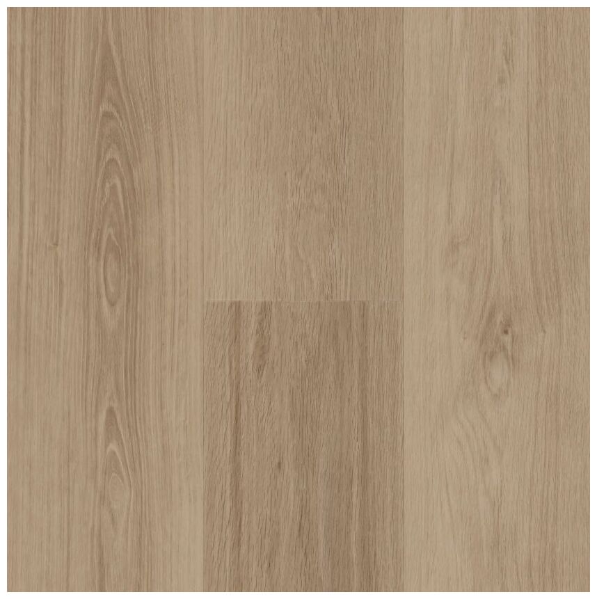 BerryAlloc Zenn Gluedown 55 Orlando 60002252 panel Podłoga Winylowa 121.9x17.78x0.25