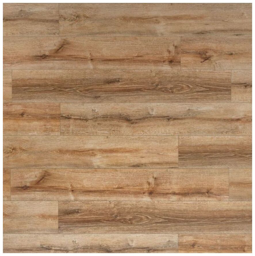 Dab Klasyczny panel winylowy 18,3x122 (Blli-2701) o wyglądzie jasnego drewna z wyraźnym usłojeniem