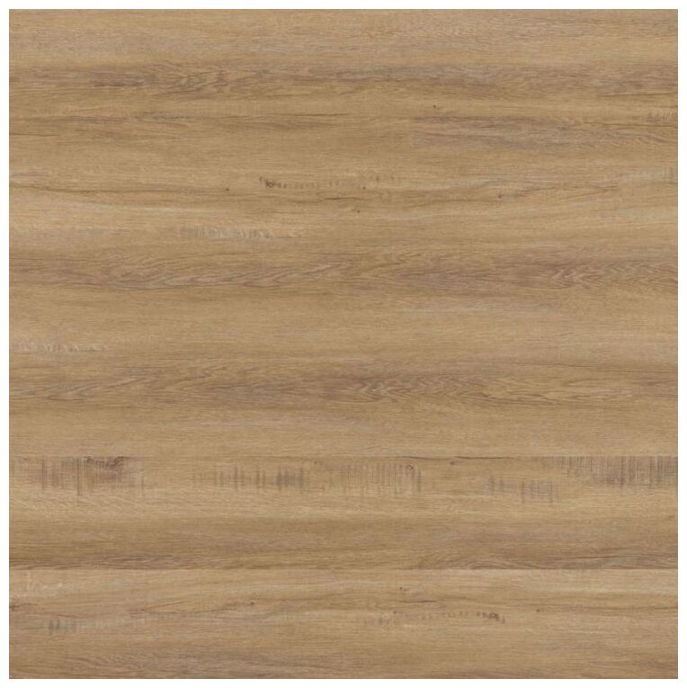 Panel winylowy Dab złoty Bladc-3310 o matowej strukturze i jasnym naturalnym wzorze drewna