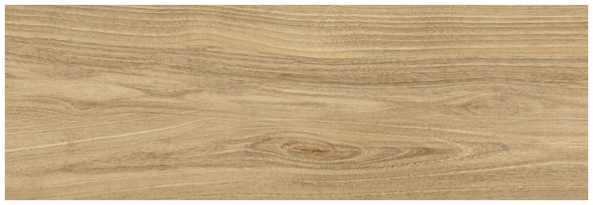 bianca dreamwood glossy płytka ścienna 25x75 - zdjęcie główne