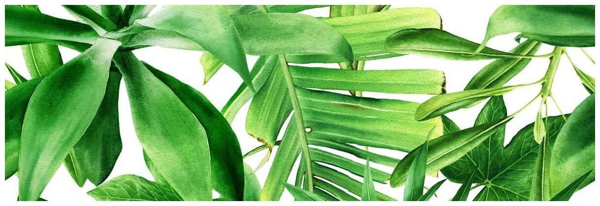 bianca garden tropic b dekor 25x75 