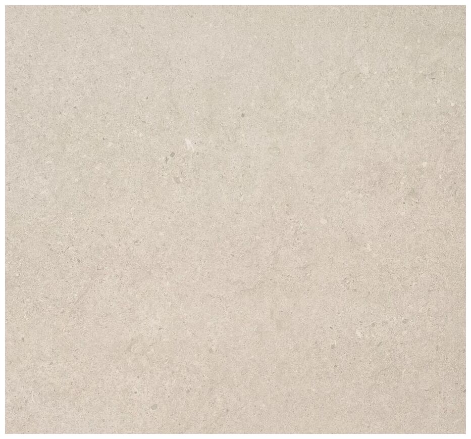 ceracasa fossil bone gres 120x120 