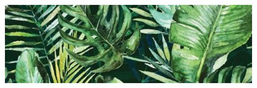 ceramika końskie braga tropic c dekor 25x75 - zdjęcie główne