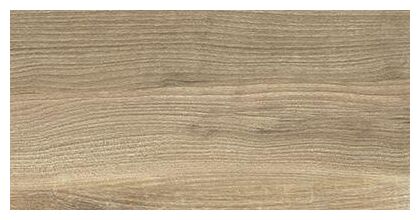 ceramika końskie brentwood honey płytka ścienna 30x60 - zdjęcie główne