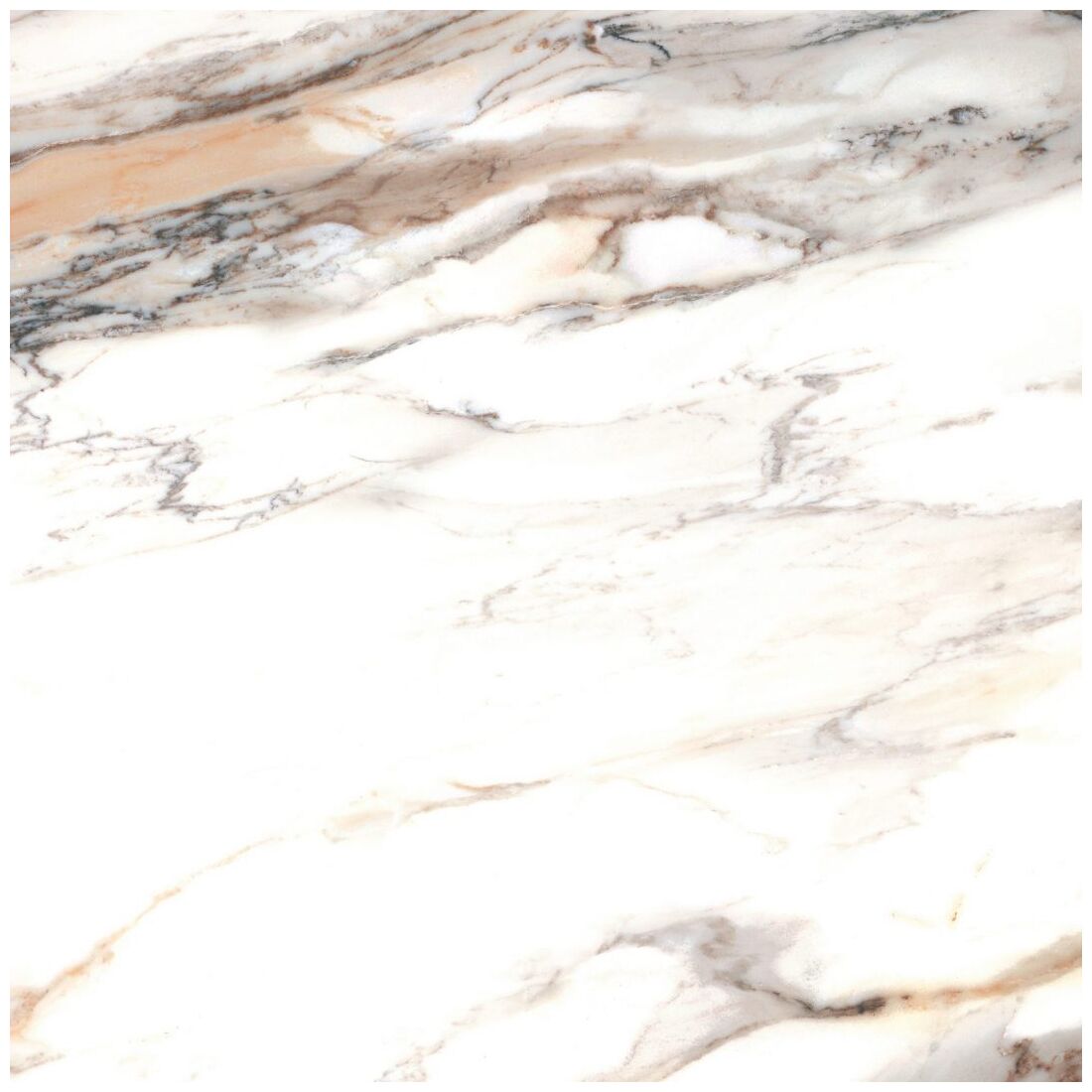 cerrad calacatta gold gres poler rektyfikowany 59.7x59.7 - zdjęcie główne