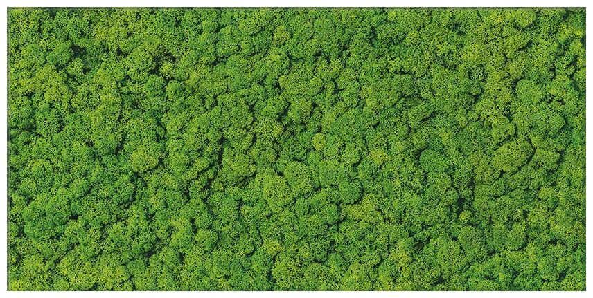 cersanit fresh moss glass dekor 29x59 - zdjęcie główne