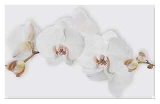 cersanit marisol white flower dekor 25x40 