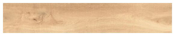 cicogres aspen natural gres mat rektyfikowany 22.5x119.5 - zdjęcie główne