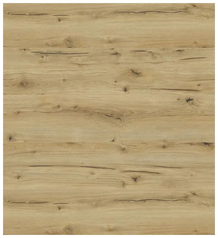 Emotions Dab Ardesia 62496 jasne panele z widoczną strukturą drewna i naturalnymi sękami