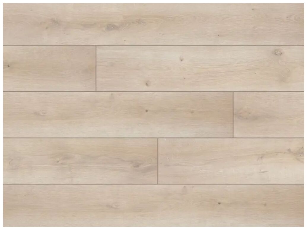 Jasne panele Espire Dab beżowy 56887 z wyraźnymi słojami i naturalnymi przebarwieniami