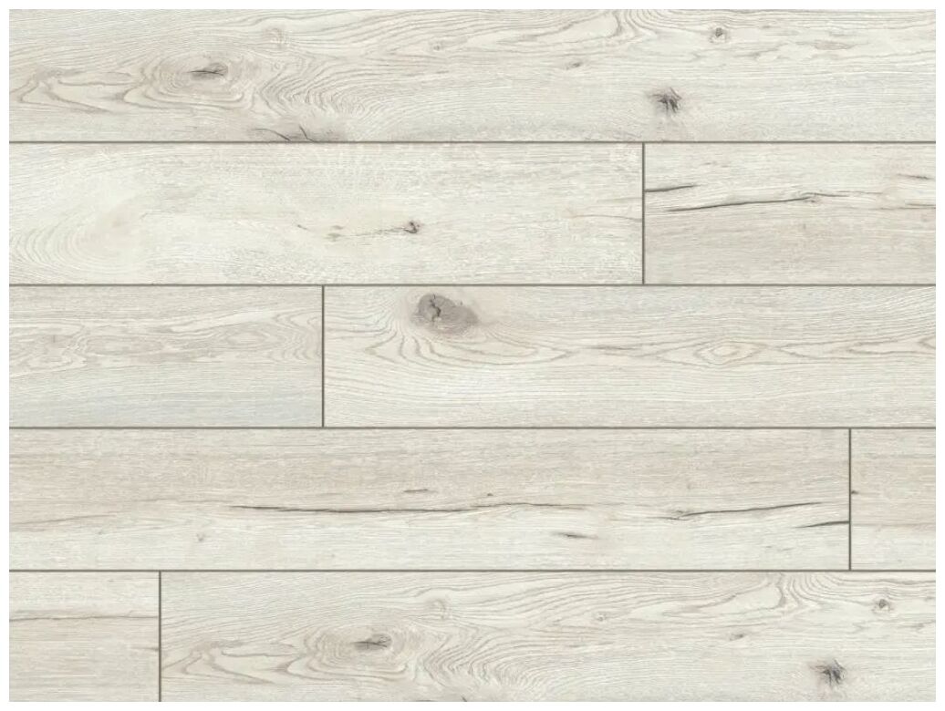 Espire Dab biały 56879 panel podłogowy jasny z rysunkiem drewna i subtelnymi slojami