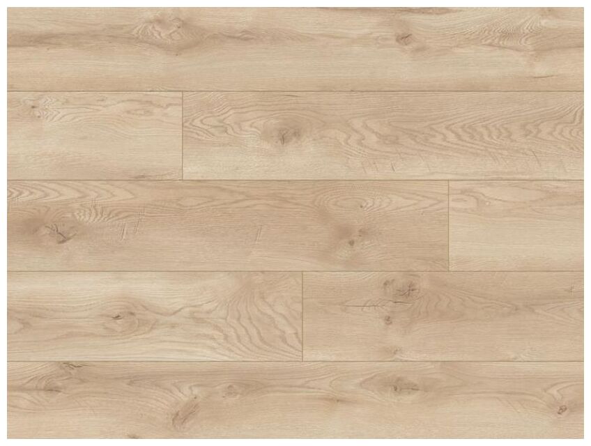 Euphoria Dab Albergo 66709 panel podłogowy o jasnym odcieniu debu z widocznymi slojami