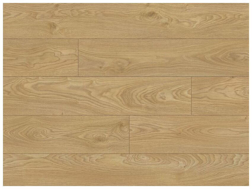 Euphoria Dab Catania 56601 panel podłogowy w jasnym odcieniu dębu z widocznym usłojeniem