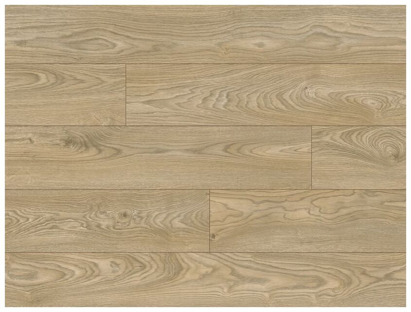 Naturalny jasny odcień dębu z wyraźnym usłojeniem Euphoria Dab Ember 56605 panele