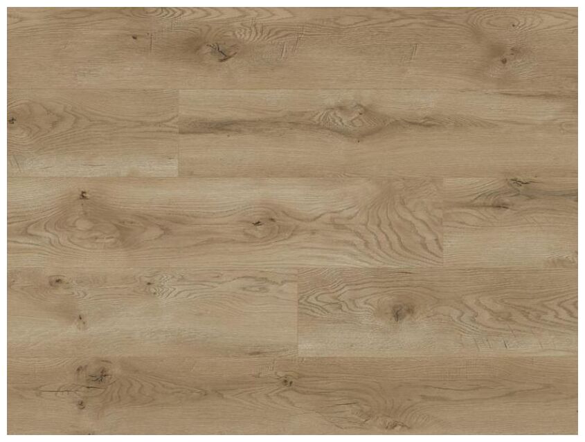 Euphoria Dab Lahti 66708 panel podłogowy o jasnym debowym odcieniu z widocznym uslojeniem