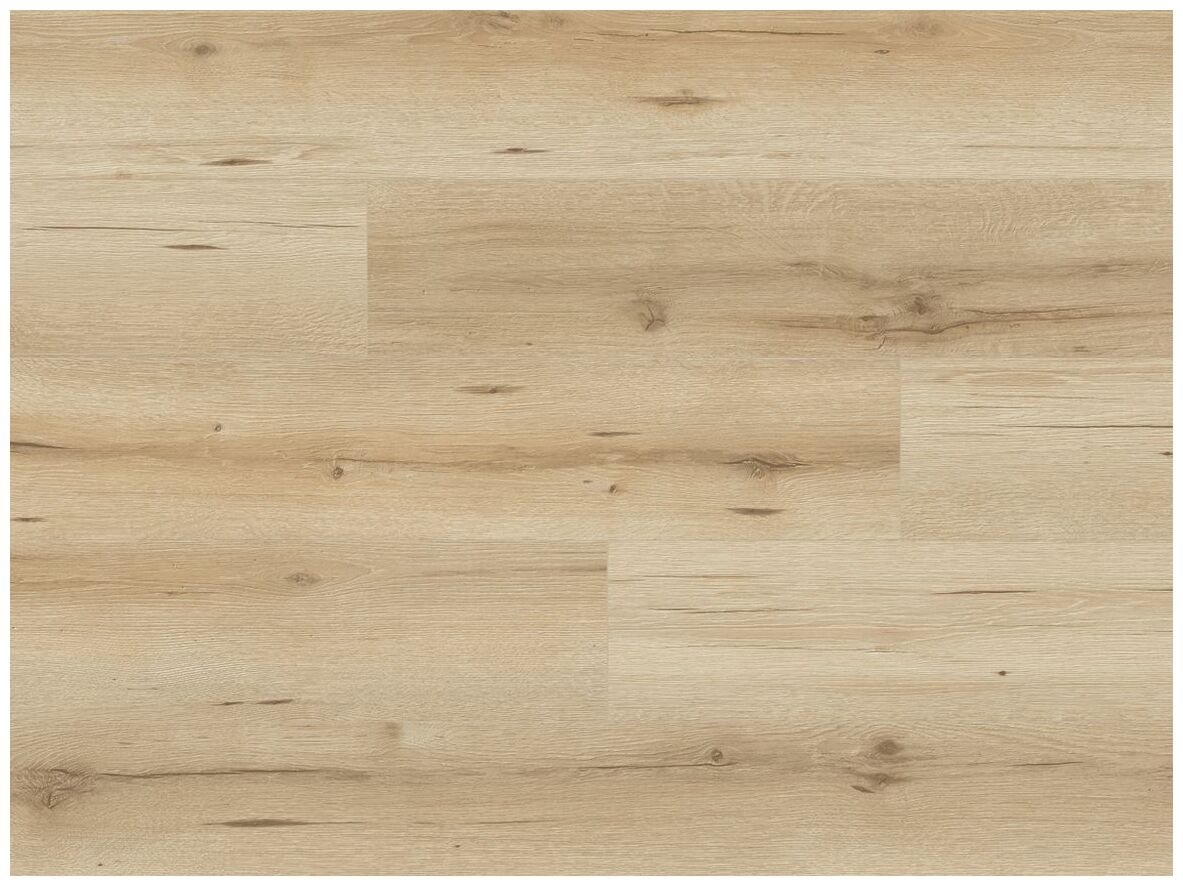 Classen Feel Good Dąb Fiara 67664 panel podłogowy 128.5x19.2x0.8