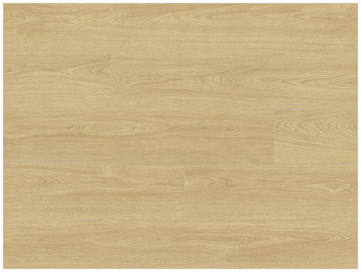 Classen Feel Good Dąb Salva 68198 panel podłogowy 128.5x19.2x0.8