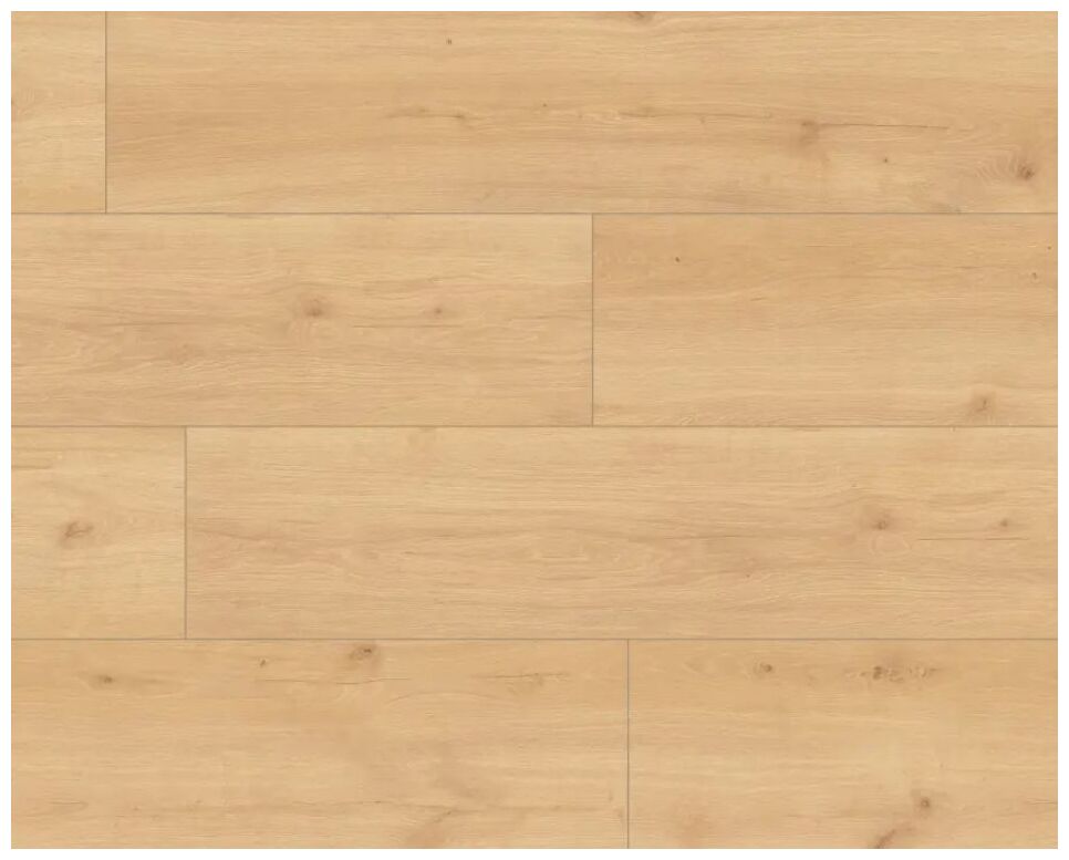 Panele podłogowe SKY Line Amado XL 56194 w odcieniu jasnego dębu z subtelnymi słojami i sękami