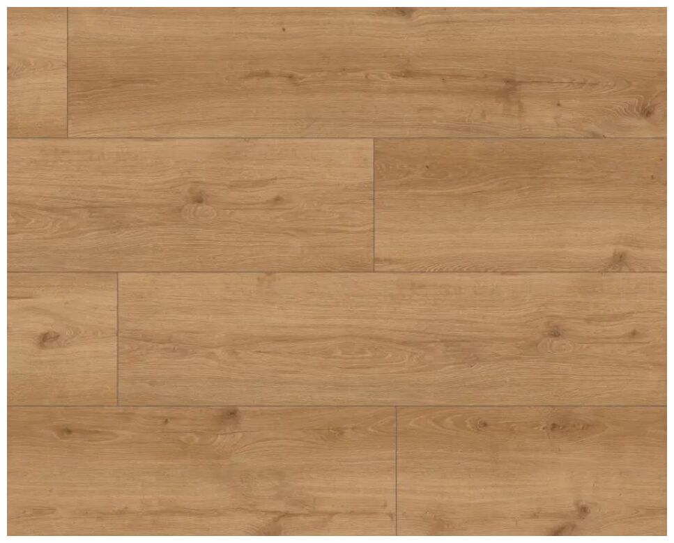 Naturalny odcień drewna SKY Line Chino XL 56199 z widocznymi słojami i wyrazistymi krawędziami