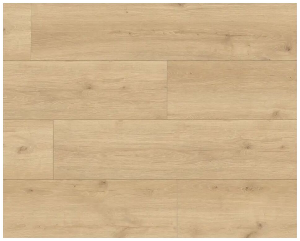 Jasny panel podłogowy SKY Line Hayden XL 56192 z wyraźnym usłojeniem i drobnymi sękami