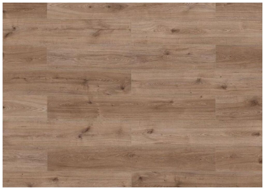 Panele podłogowe SKY Line Kofa XL 56197 w odcieniu dębu z wyraźnymi słojami i drobnymi sękami