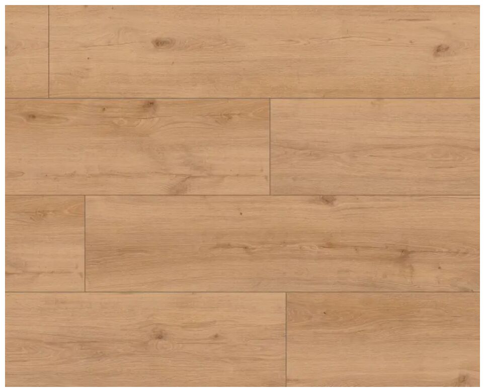 Jasne panele podłogowe SKY Line Salome XL 56198 z wyraźną fakturą i matowym wykończeniem