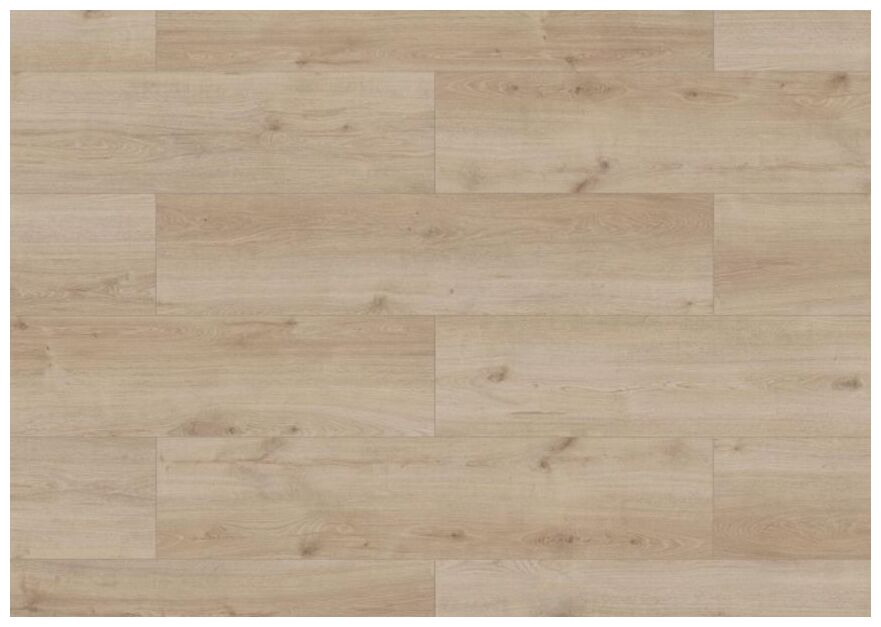 Jasny panel podłogowy SKY Line Sonolta XL 56195 z subtelnymi słojami i matowym wykończeniem