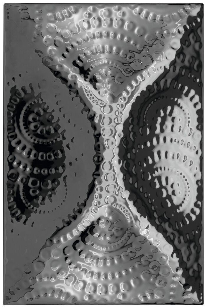 decus aspa plata dekor 10x15 - zdjęcie główne