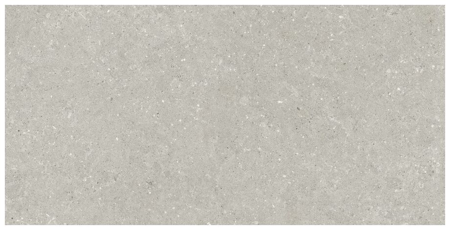 delconca wild hwd 05 grey gres rektyfikowany 60x120 - zdjęcie główne