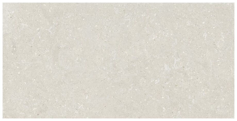 delconca wild hwd 10 white gres rektyfikowany 60x120 - zdjęcie główne