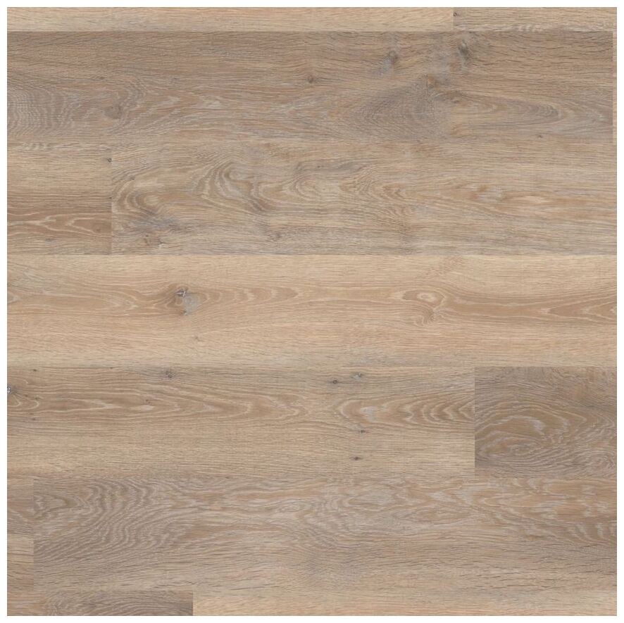 designflooring rose washed oak kp95-7 panel winylowy lvt 17.8x121.9 - zdjęcie główne