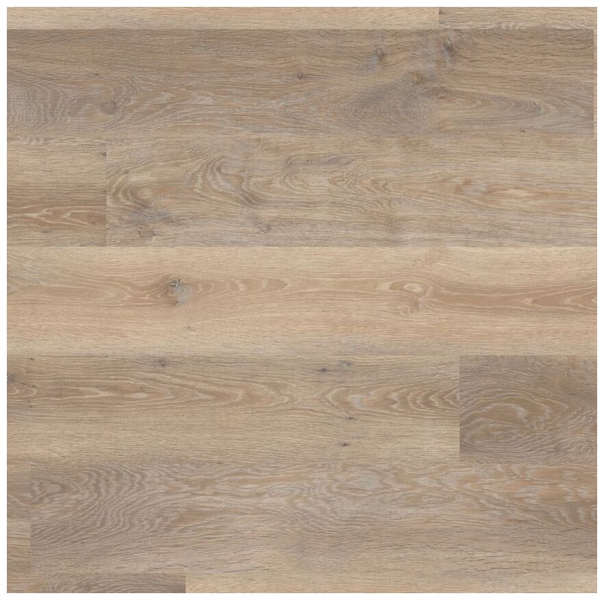 designflooring rose washed oak scb-kp95 panel winylowy lvt 18x122 - zdjęcie główne